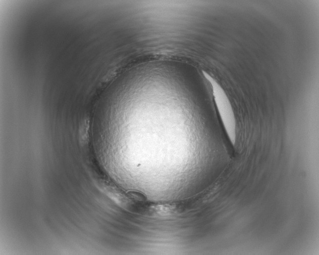 X0000068320660200605122058