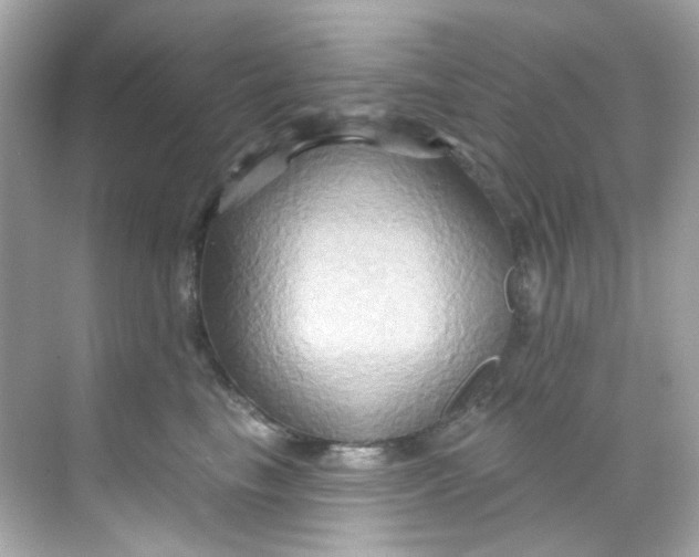 X0000068320665200605122058