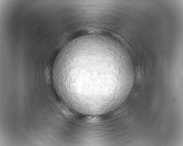 X0000068320667200605122058
