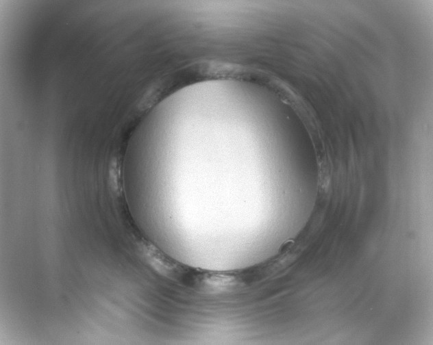 X0000068320669200605122058