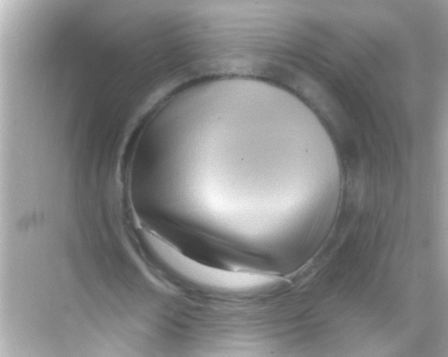 X0000068320674200605122057