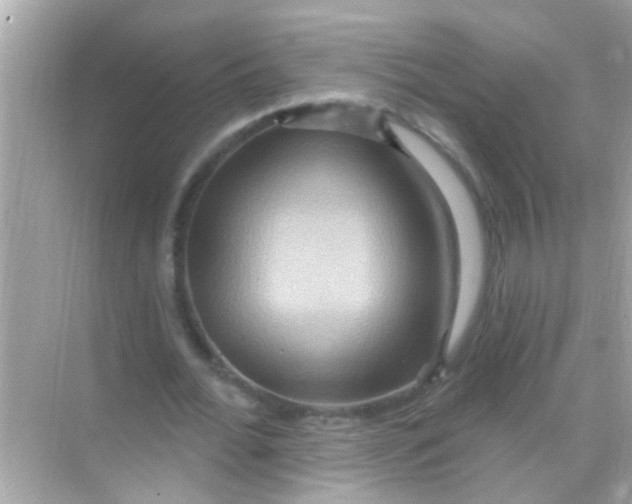 X0000068320676200605122057