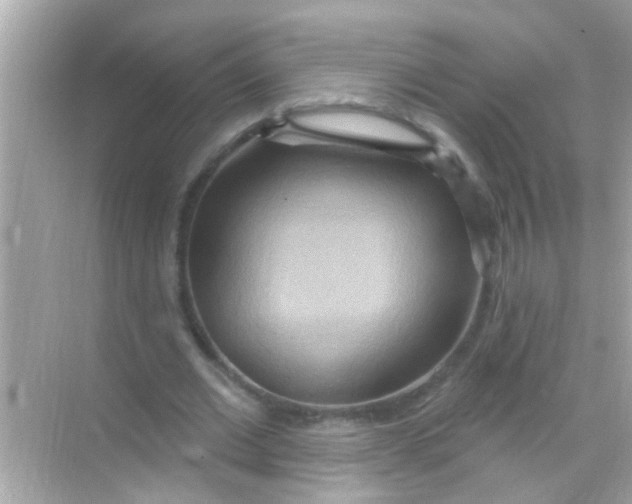 X0000068320677200605122057