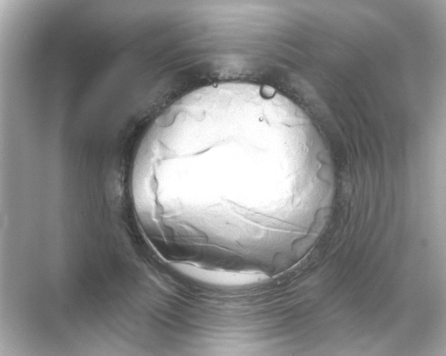 X0000068320691200605122057