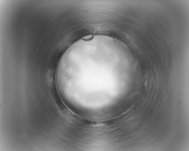 X0000068320695200605122057
