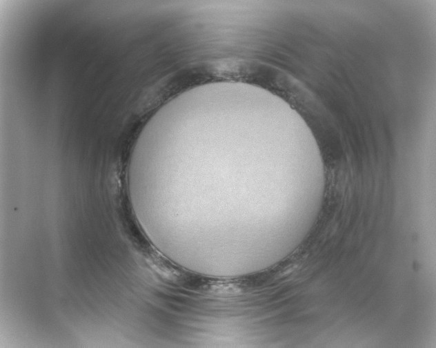 X0000068320702200605122056