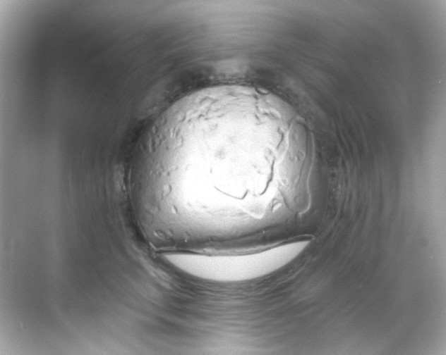 X0000068320711200605122056
