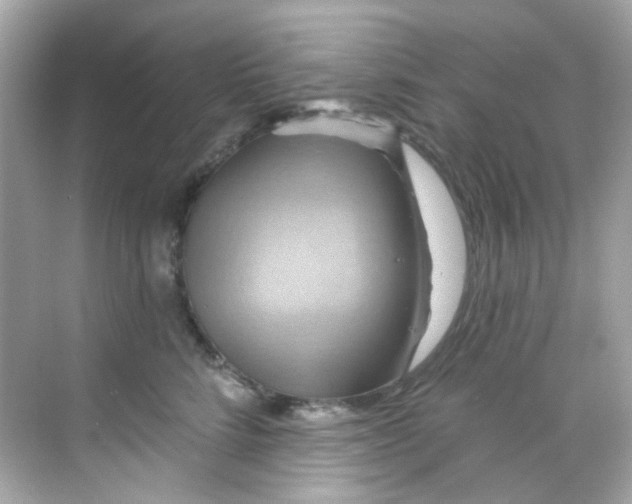 X0000068320712200605122056