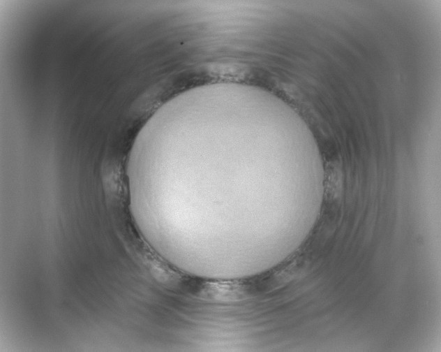 X0000068320713200605122056