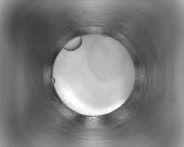 X0000068320717200605122056