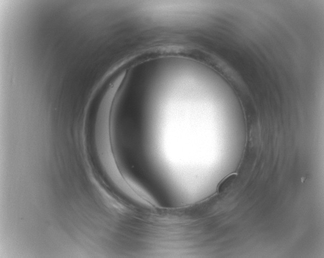 X0000068320722200605122055