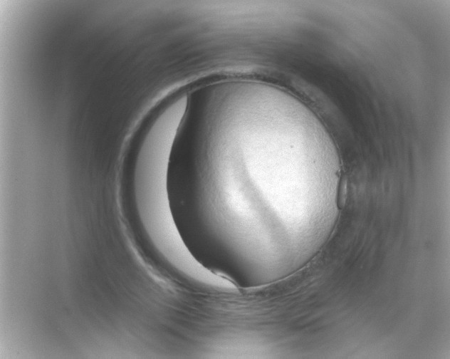 X0000068320728200605122055