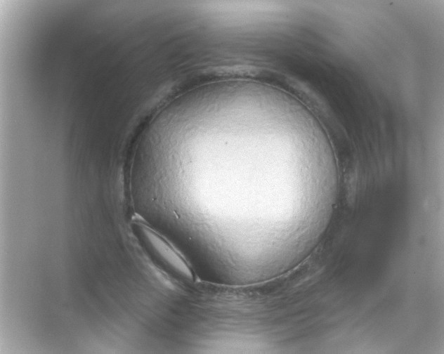 X0000068320729200605122056