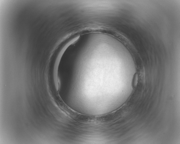 X0000068320732200605122056