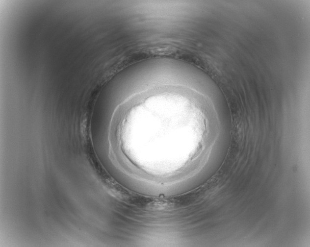 X0000068320745200605122056