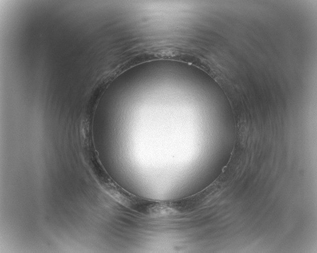 X0000068320747200605122056
