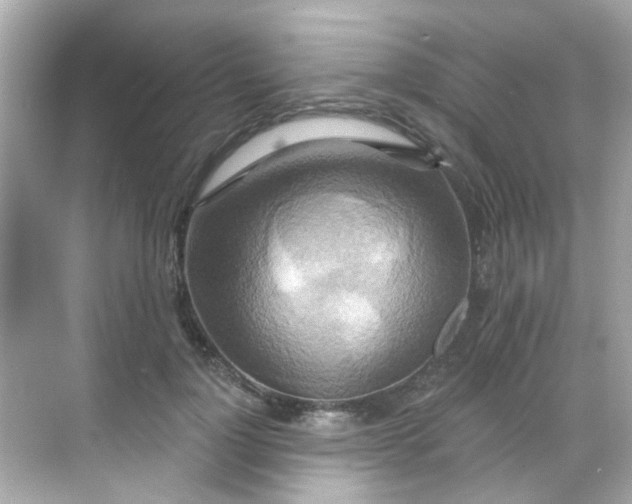 X0000068320748200605122056