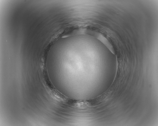 X0000068320752200605122056
