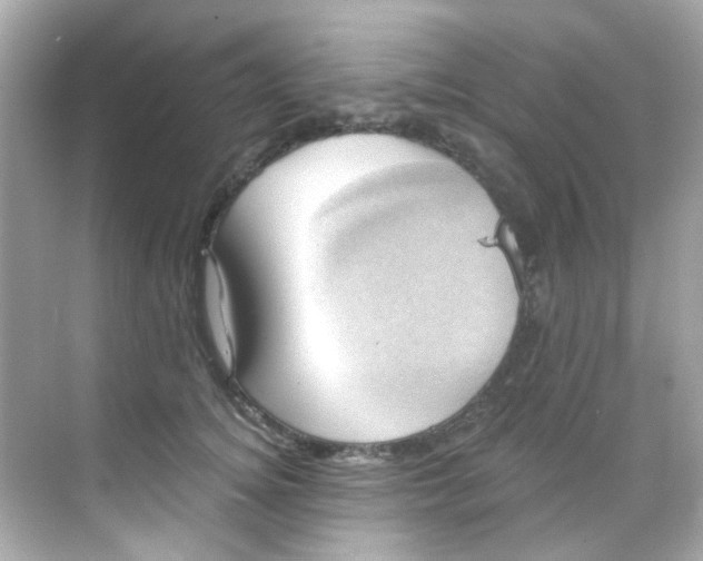 X0000068320756200605122056