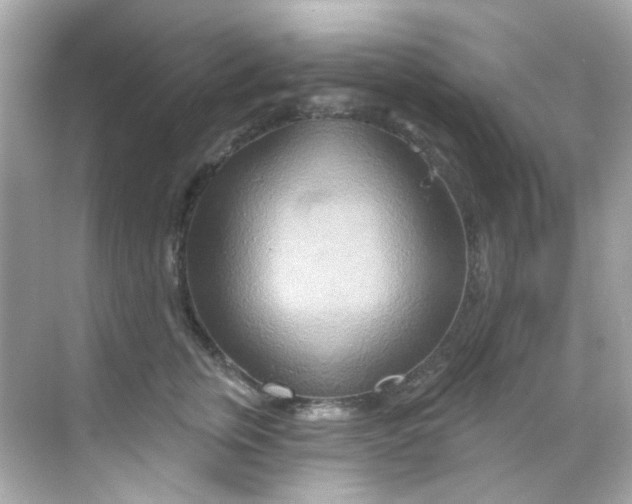 X0000068320759200605122056