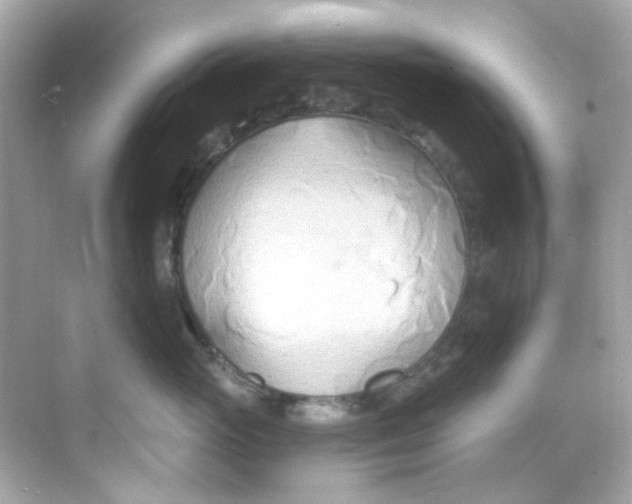 X0000068320765200605122056
