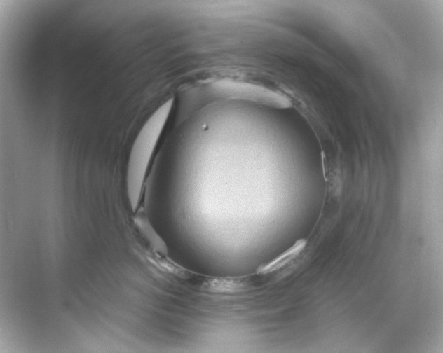 X0000068320766200605122056