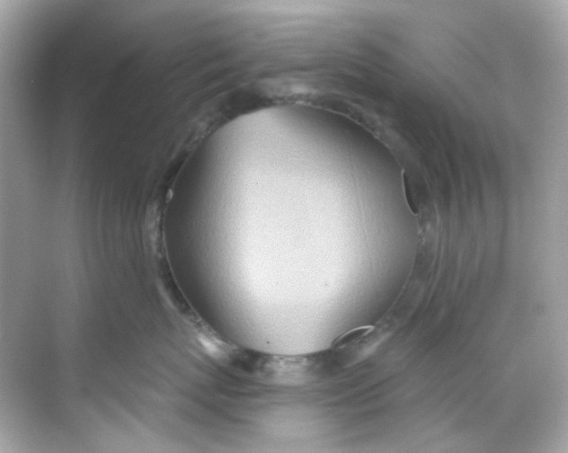 X0000068320767200605122056