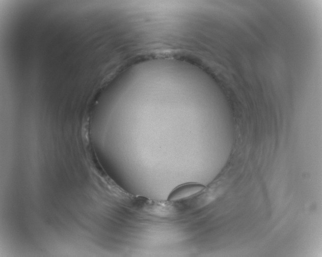 X0000068320768200605122056