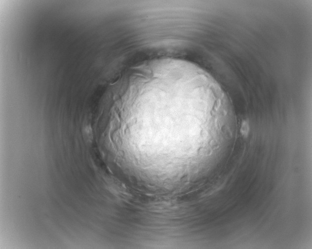X0000068320771200605122055