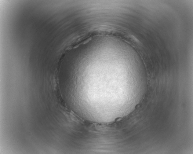 X0000068320774200605122055