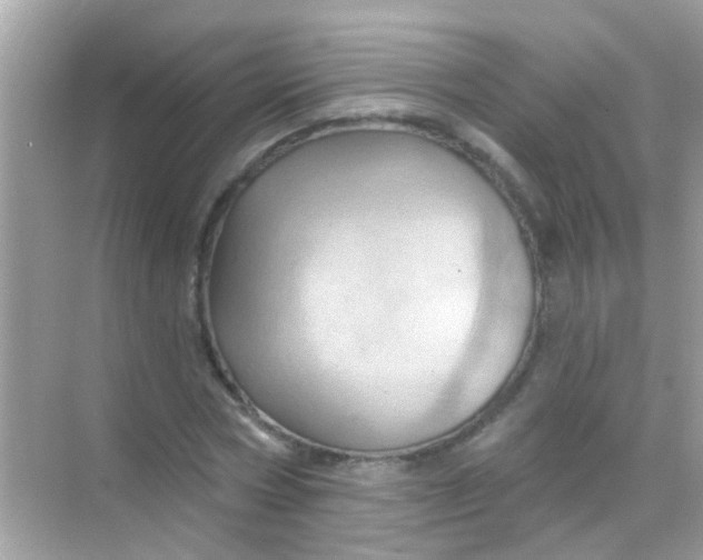 X0000068320778200605122055