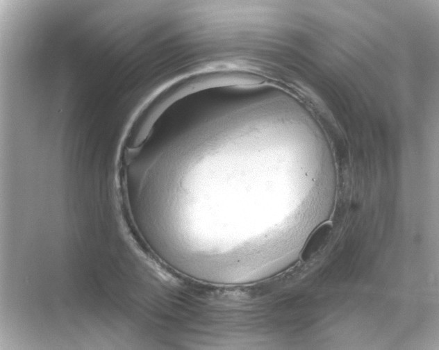 X0000068320784200605122055