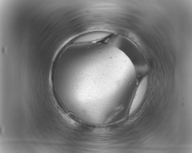 X0000068320788200605122055