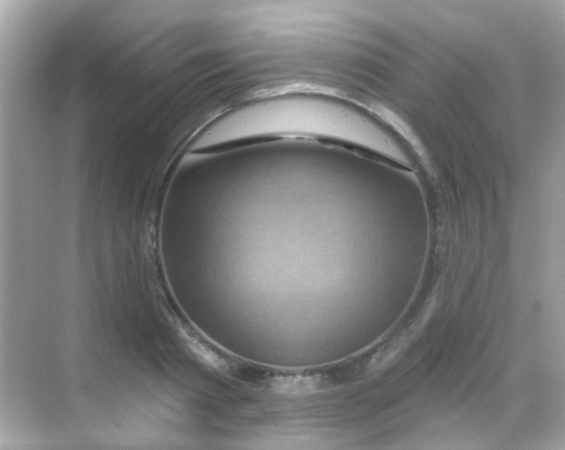 X0000068320793200605122055