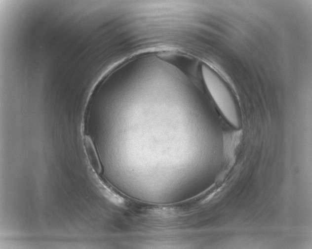 X0000068320797200605122055