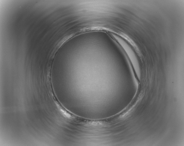 X0000068320801200605122055