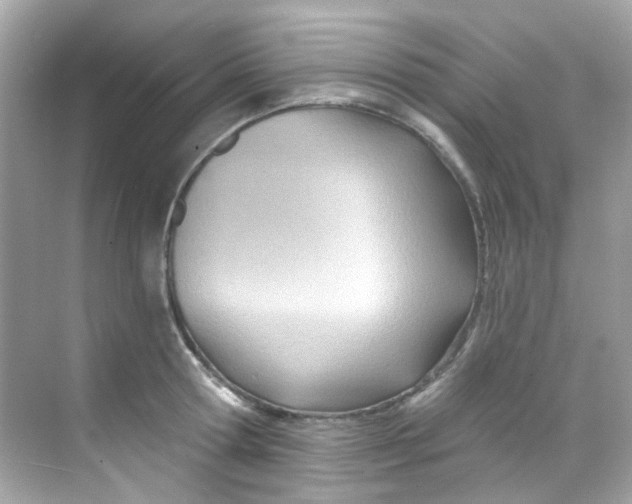 X0000068320802200605122055