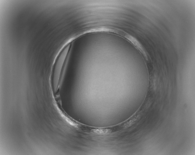 X0000068320805200605122055