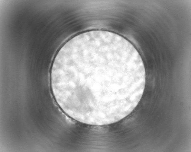 X0000068320807200605122055