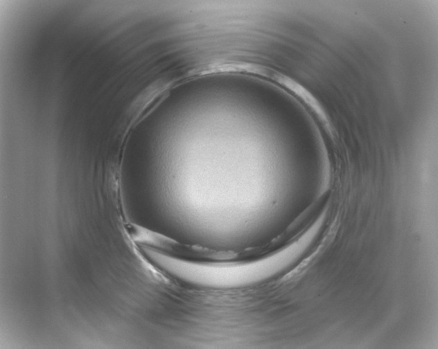X0000068320809200605122055