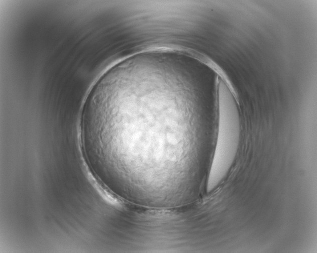 X0000068320811200605122055