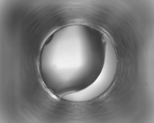 X0000068320812200605122055