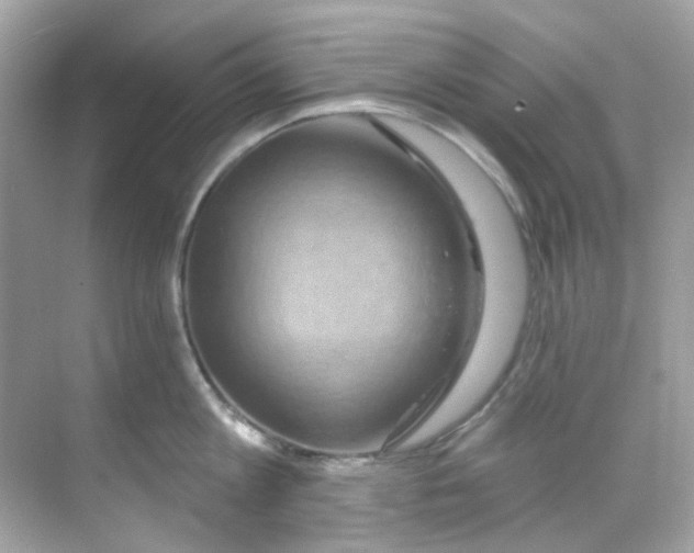 X0000068320813200605122055