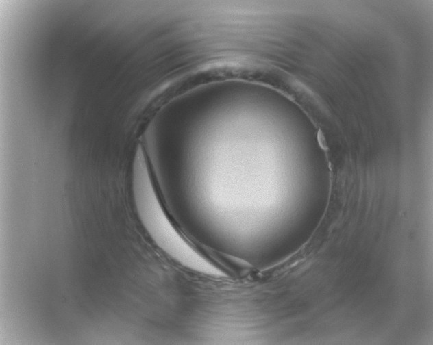X0000068320822200605122054