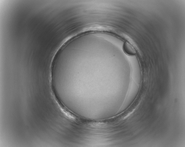 X0000068320837200605122054