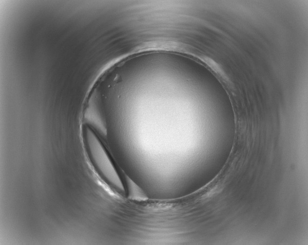 X0000068320846200605122054