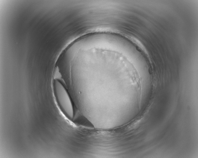 X0000068320847200605122054
