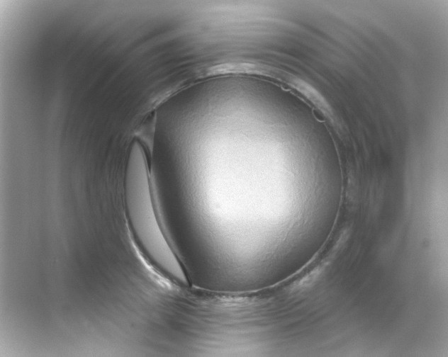 X0000068320849200605122054