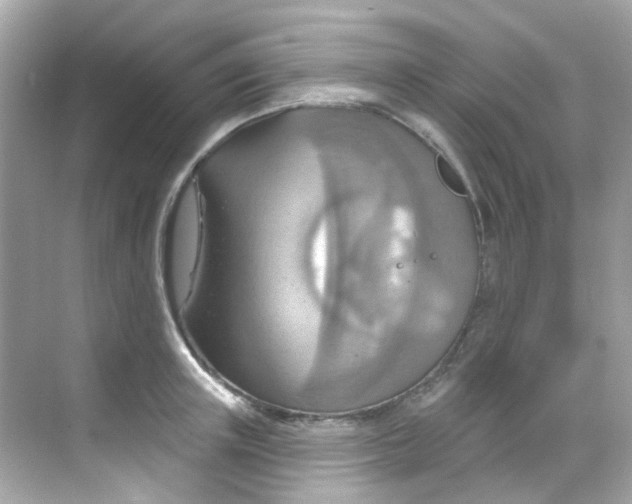 X0000068320851200605122054