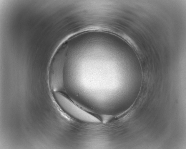 X0000068320854200605122054